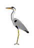 heron